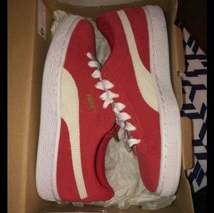 Suede red/white pumas